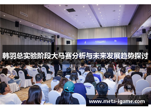 韩羽总实验阶段大马赛分析与未来发展趋势探讨