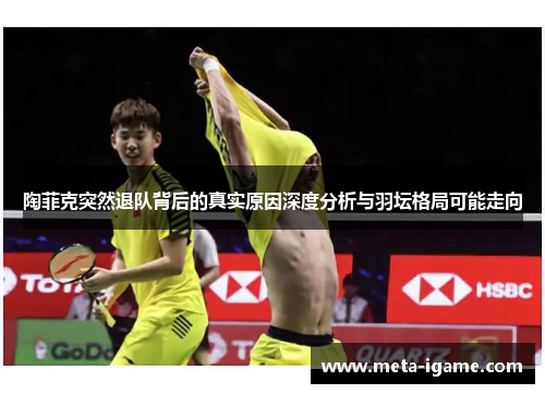 陶菲克突然退队背后的真实原因深度分析与羽坛格局可能走向 陶菲克突然退队背后的真实原因深度分析与羽坛格局可能走向